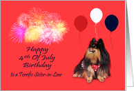 Birthday On 4th Of July to Sister-in-Law with Pomeranian and Fireworks card