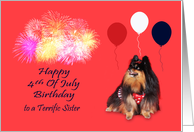 Birthday On 4th Of July to Sister with a Pomeranian Watching Fireworks card