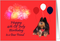 Birthday On 4th Of July to Friend, Pomeranian watching fireworks, red card