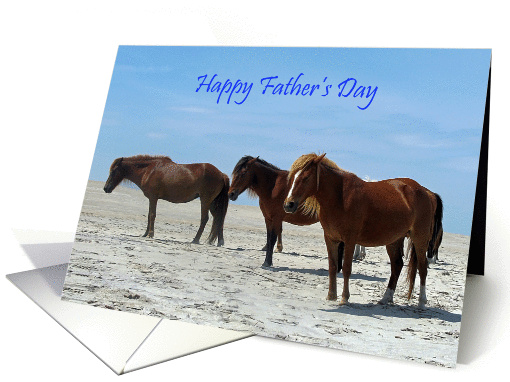 Father's Day, general, Wild Horses on a sandy white beach,... (826083)