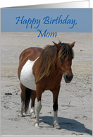 Birthday For Mom, Wild Horses on a white beach against a blue sky card
