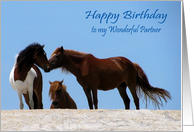 Birthday to Partner, wild horses on a white beach aganist a blue sky card