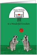 Birthday to Grandson with Raccoons Playing Basketball and a Hoop card