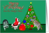 Christmas from Our Family to Yours with Raccoons and Christmas Tree card