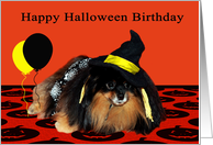 Birthday on Halloween with a Cute Pomeranian Witch and Balloons card