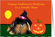 Birthday On Halloween to Boss, Pomeranian witch with jack-o-lantern card