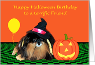 Birthday On Halloween to Friend Pomeranian Witch and Jack-o-lantern card