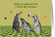 Grandparents Day to Both Grandpmas, Raccoons playing with butterflies card