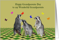 Grandparents Day to Grandparents, Raccoons playing with butterflies card