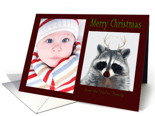 Christmas, custom name photo card, Raccoon with antlers, red-nose card