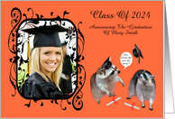 Announcement Graduation Custom Year Photo Card 2024 Raccoons card