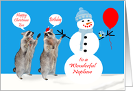Birthday on Christmas Eve to Nephew, Raccoons with snowman, blue card