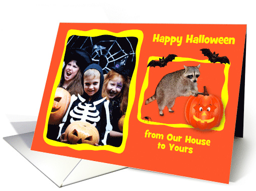 Halloween Photo Card, custom text, Raccoon with jack-o-lantern card