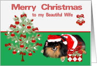 Christmas to Wife, Pomeranian as Mrs. Santa Claus, present, tree card