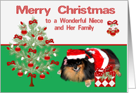 Christmas to Niece and her family, Pomeranian as Mrs. Santa Claus card