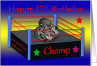 17th Birthday, Three raccoons wrestling in a ring with colorful stars card