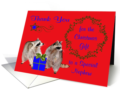 Thank You for the Christmas Gift to Nephew, adorable raccoons card