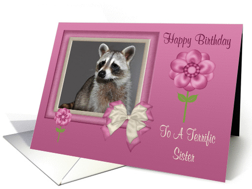 Birthday To Sister, Raccoon in bow frame with flowers card (893232)