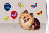 9th Birthday, adorable Pomeranian surrounded by cute butterflies card