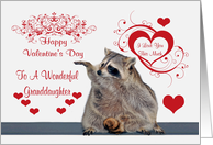 Valentine’s Day To Granddaughter, Raccoon with hearts card