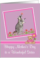 Mother’s Day to Sister, Raccoon with a butterfly on his nose, purple card
