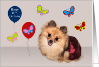 45th Birthday, adorable Pomeranian surrounded by cute butterflies card