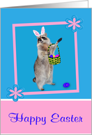 Easter, general, Raccoon with bunny ears, pink flower frame on blue card