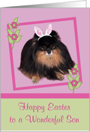 Easter to Son, Pomeranian with bunny ears, butterfly, flower, lilac card