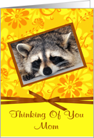 Thinking Of You Mom with Raccoon Sleeping in Brown Frame on Flowers card