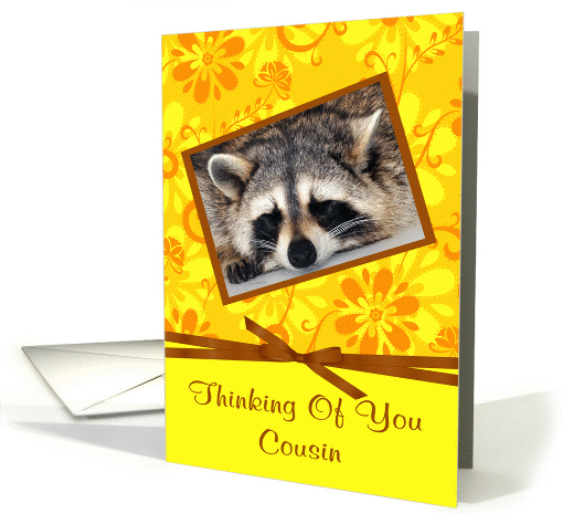 Thinking Of You Cousin, Raccoon sleeping, brown frame,... (916107)