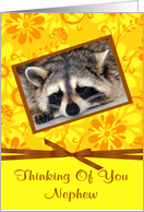 Thinking Of You Nephew with a Raccoon Sleeping in a Brown Frame card