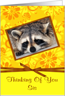 Thinking Of You Sister, Raccoon sleeping, brown frame, yellow flower card