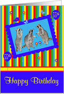 55th Birthday, adorable raccoons in a cute blue frame with balloons card