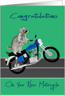 Congratulations On Your New Motorcycle, Raccoon Daredevil on green card