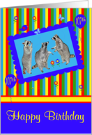 107th Birthday, adorable raccoons in a cute blue frame with balloons card