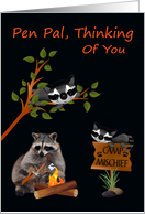 Thinking Of You, Pen Pal, At Summer Camp, raccoon with bonfire card