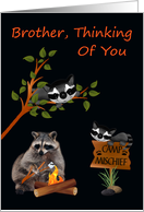 Thinking Of You, Brother, At Summer Camp, raccoon with bonfire card