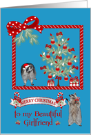 Christmas to Girlfriend, Adorable raccoons In Christmas Scene card