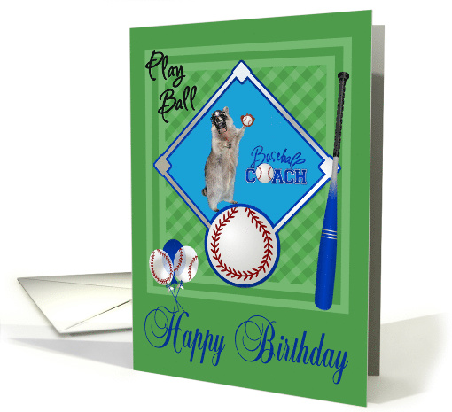 Birthday to Coach, raccoon playing baseball in catcher's... (950498)