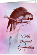 Sympathy For Loss Of Parrot with a Beautiful Bird Perched on a Branch card