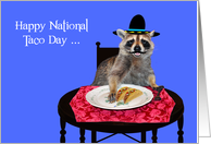 National Taco Day, general, Raccoon with mustache wearing a sombrero card