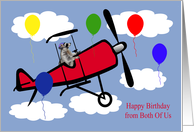 Birthday from Both Of Us, an adorable raccoon flying an airplane card