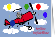 Birthday To Partner, Raccoon flying an airplane card