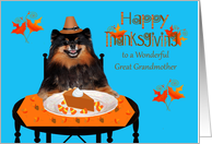 Thanksgiving to Great Grandmother, Pomeranian Pilgrim, pumpkin pie card