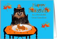 Thanksgiving to Great Grandson with a Pomeranian Pilgrim Eating Pie card