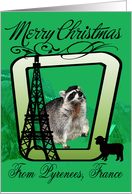 Pyrenees, France Christmas, Raccoon, mountains and a sheep card