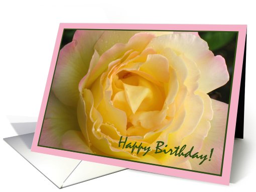 JUNE Happy Birthday ROSE card (560239)