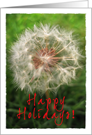 Dandelion Happy Holidays Lawn Care Card