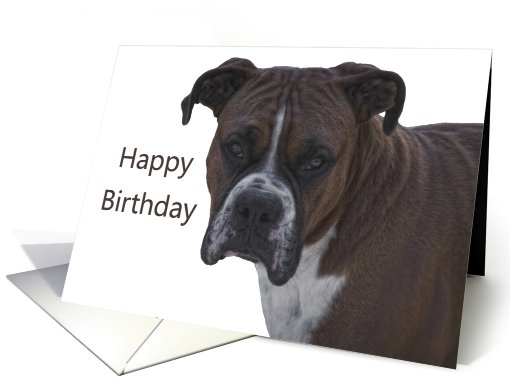 Birthday card (579447)