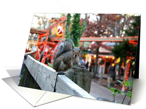 Birthday - Brazen Squirrel card (572988)